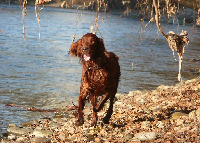 Hotel Goldener Schluessel 3*