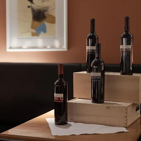 酒店 金钥匙酒店 伯尔尼