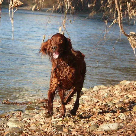 酒店 金钥匙酒店 3*